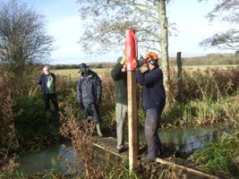 volunteers placing supporting posts