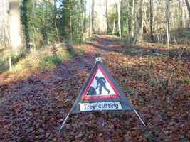 tree cutting sign in woodland