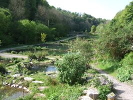 fish ponds at Ruskin Mill College