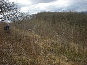 DSCN2457
