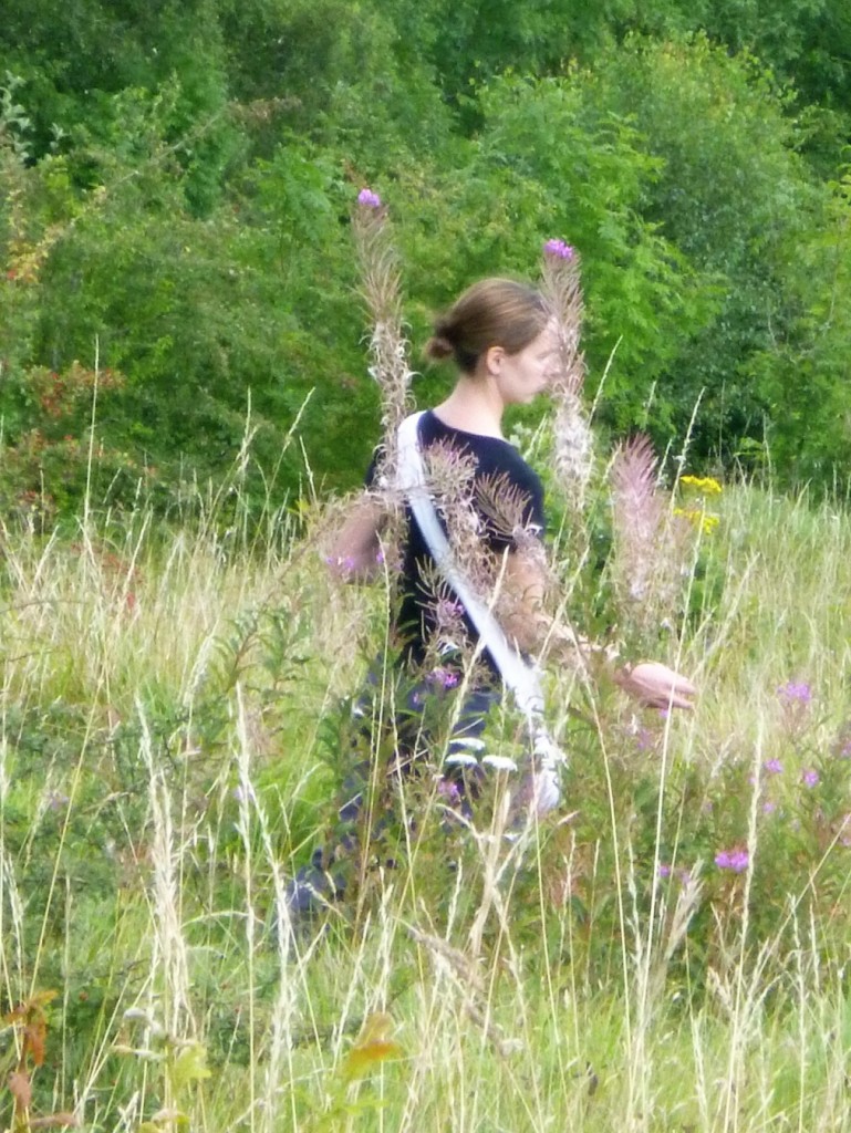 D:\Pictures\GVCV\2017.08 GVCV Rudge Hill common\P1010832.JPG