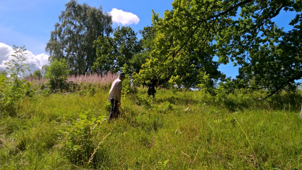 D:\Pictures\GVCV\2017.08 GVCV Rudge Hill common\WP_20170813_12_00_23_Pro_LI.jpg