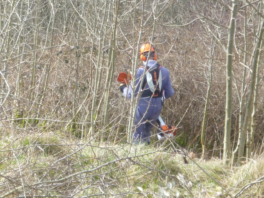 D:\Pictures\GVCV\2018.03 GVCV Stinchcombe\P1010856.JPG