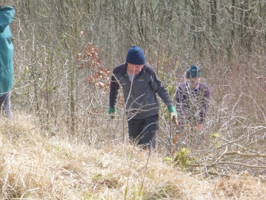 D:\Pictures\GVCV\2018.03 GVCV Stinchcombe\P1010858.JPG