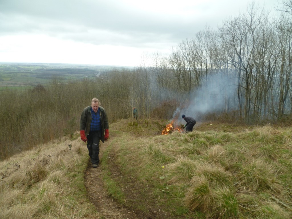 D:\Pictures\GVCV\2018.03 GVCV Stinchcombe\P1010860.JPG