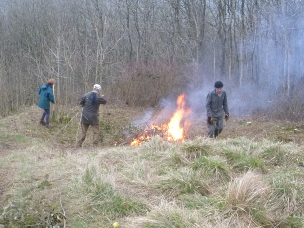 D:\Pictures\GVCV\2018.03 GVCV Stinchcombe\P1010861.JPG
