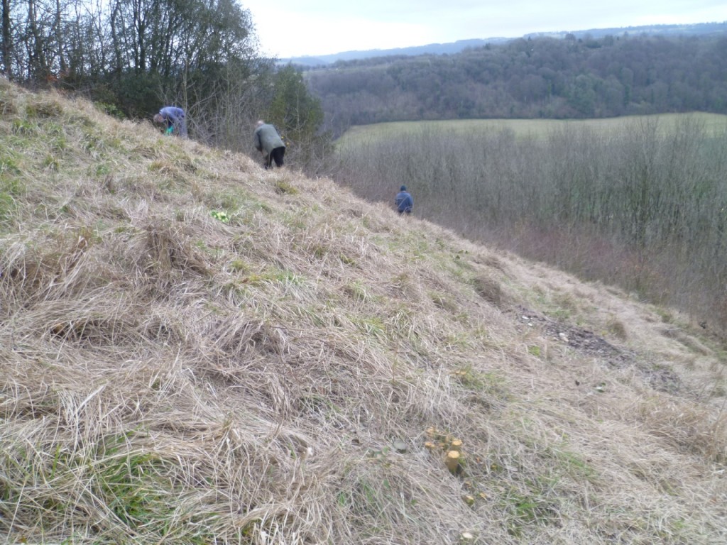 D:\Pictures\GVCV\2018.03 GVCV Stinchcombe\P1010862.JPG