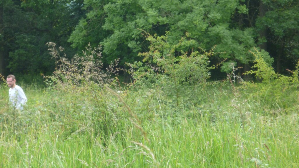 A person standing in a field of tall grass

Description automatically generated with low confidence