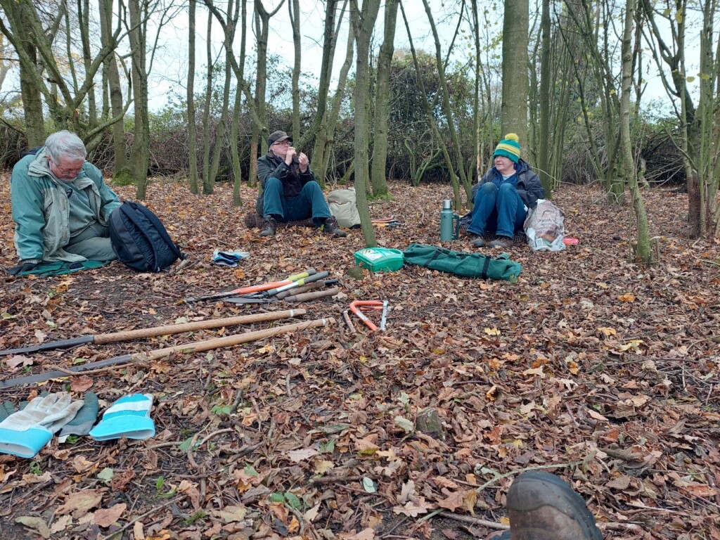 A group of people sitting in the woods

Description automatically generated with medium confidence