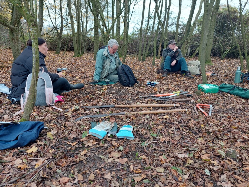 A group of people sitting in the woods

Description automatically generated with medium confidence