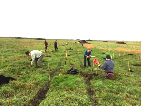 A group of people working in a field

Description automatically generated