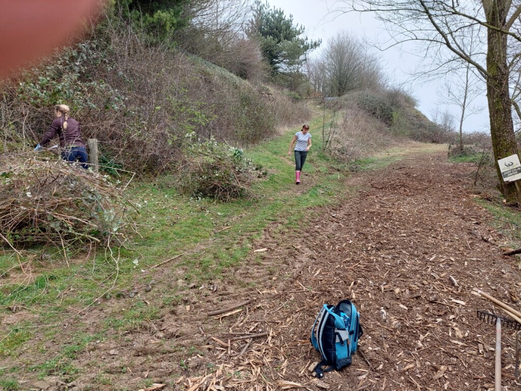 A picture containing outdoor, grass, tree, ground

Description automatically generated