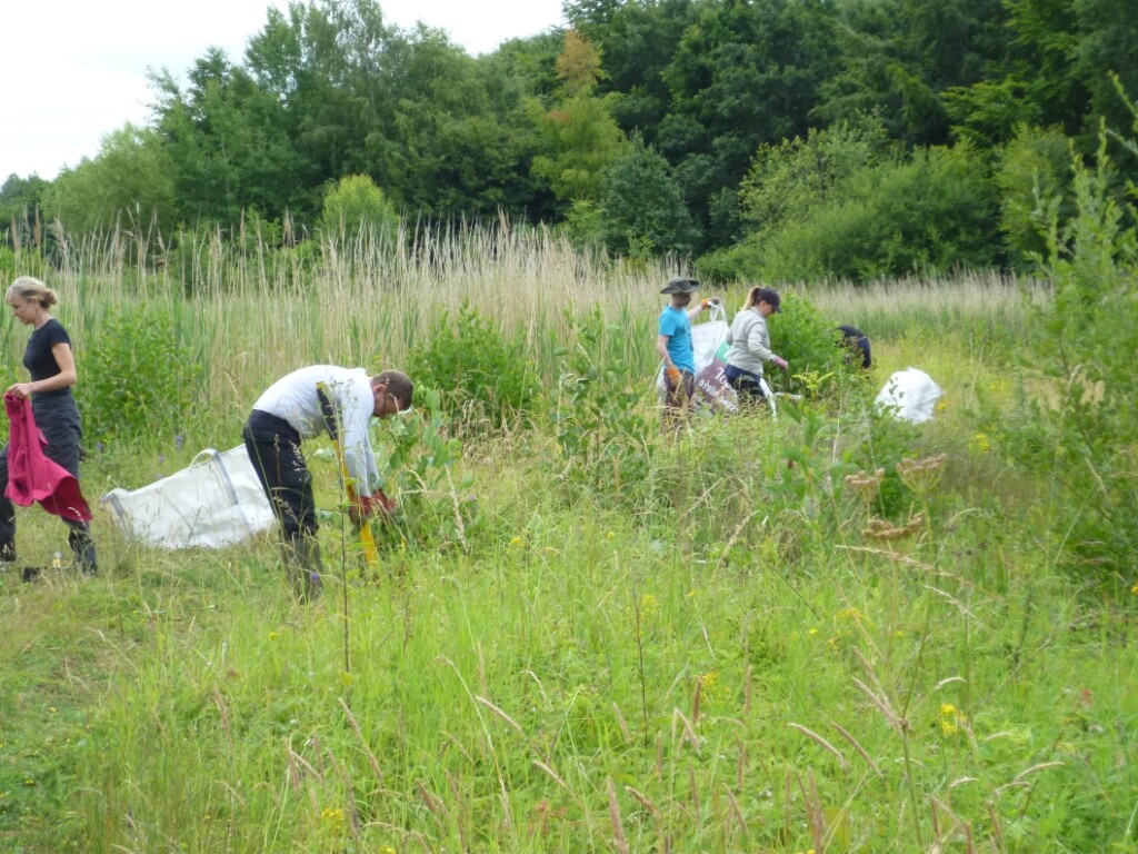 A group of people working in a field

Description automatically generated with medium confidence