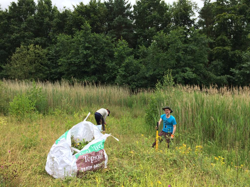 A picture containing grass, tree, outdoor, field

Description automatically generated