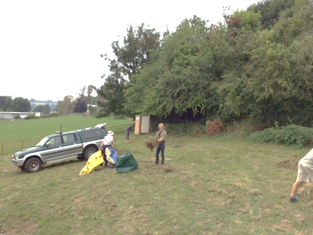 A picture containing grass, outdoor, tree, sky

Description automatically generated