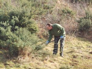 A picture containing outdoor, grass, tree, person Description automatically generated