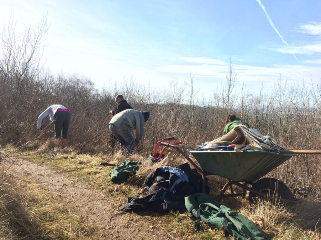 A picture containing outdoor, sky, grass, handcart

Description automatically generated