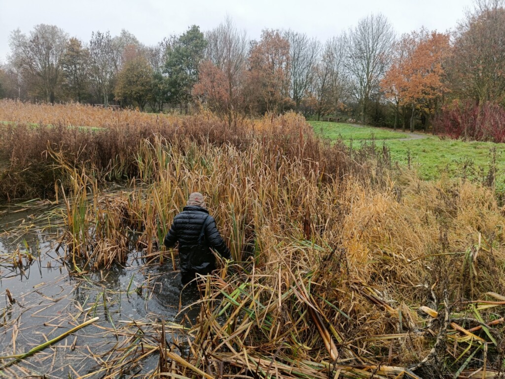 A person standing in a swamp

Description automatically generated