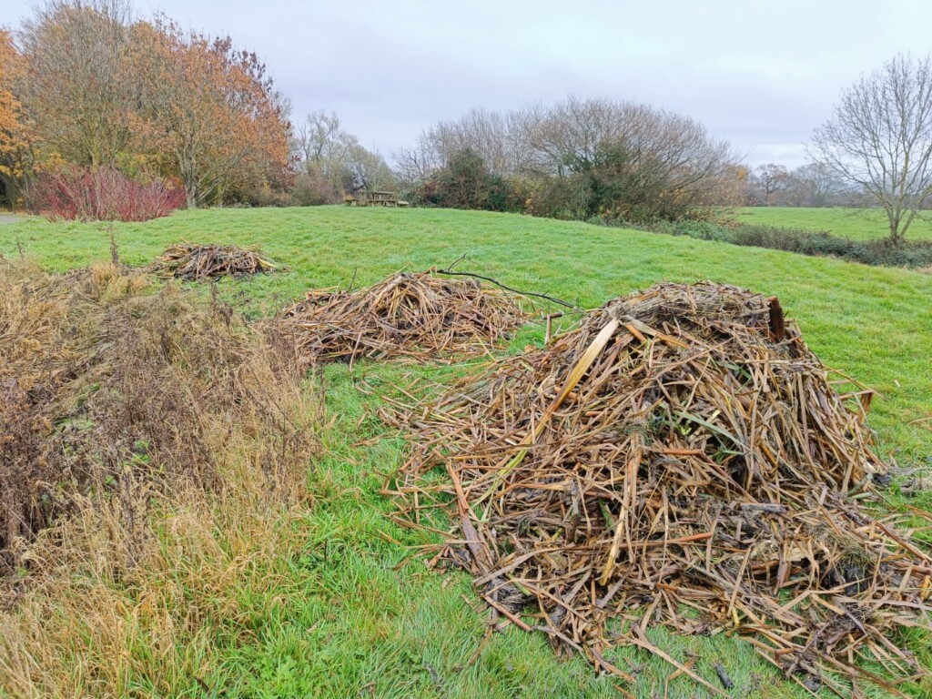 A pile of cut grass

Description automatically generated