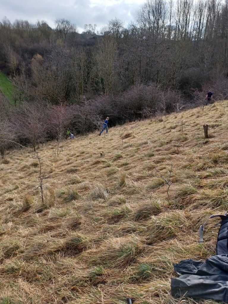 A group of people on a hill

Description automatically generated