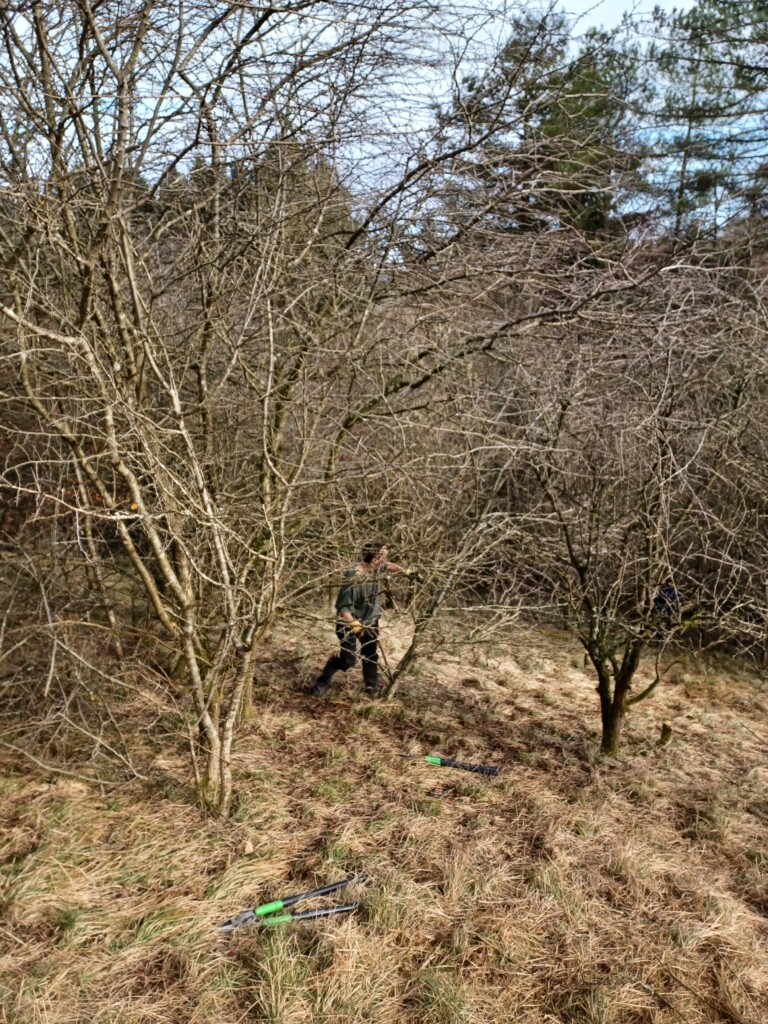 A person walking through a forest

Description automatically generated