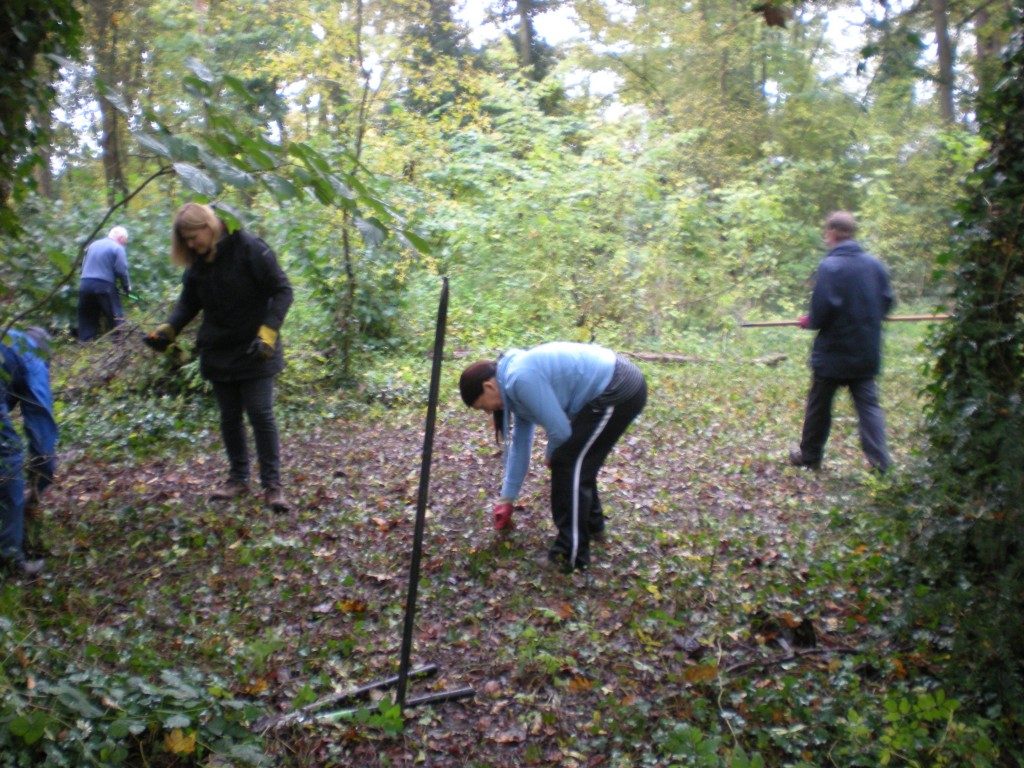 A group of people working in the woods

Description automatically generated
