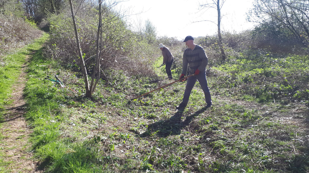 A few men working in the woods

AI-generated content may be incorrect.