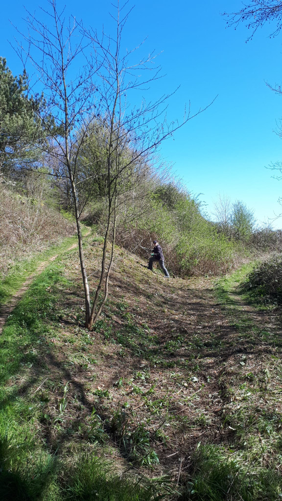 A person walking on a dirt path

AI-generated content may be incorrect.
