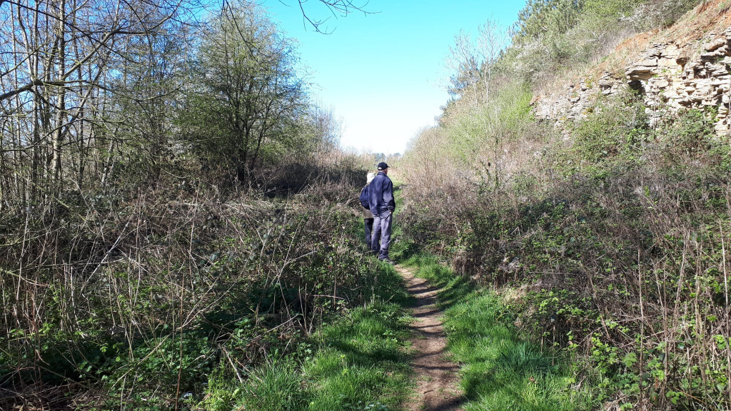 A person walking on a trail in a forest

AI-generated content may be incorrect.